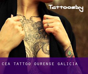 Cea tattoo (Ourense, Galicia)
