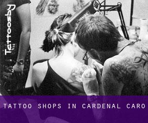 Tattoo Shops in Cardenal Caro