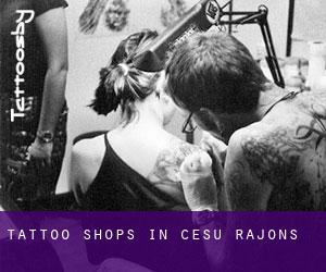 Tattoo Shops in Cēsu Rajons