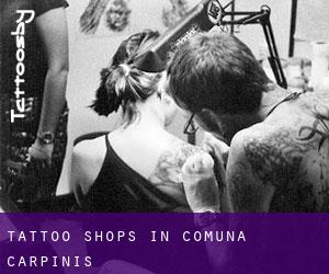 Tattoo Shops in Comuna Cărpiniş