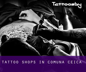 Tattoo Shops in Comuna Ceica