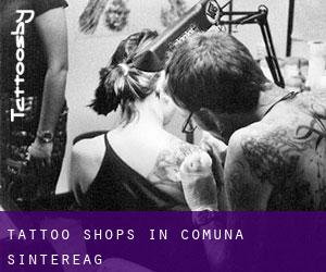 Tattoo Shops in Comuna Şintereag