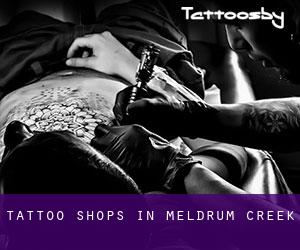 Tattoo Shops in Meldrum Creek