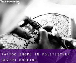 Tattoo Shops in Politischer Bezirk Mödling