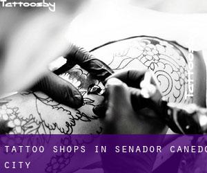Tattoo Shops in Senador Canedo (City)